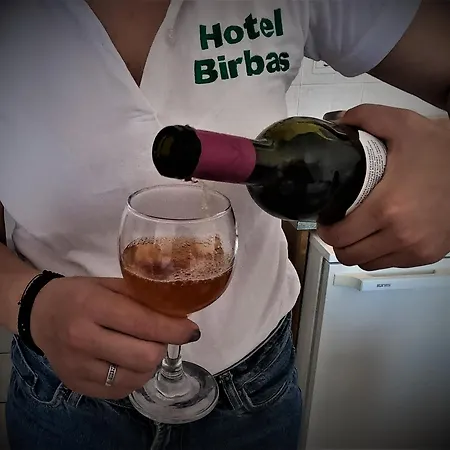 Aparthotel Birbas Agia Anna (Naxos)